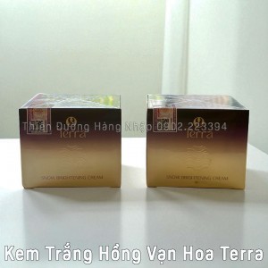 KEM TRĂNG HỒNG VẠN HOA TERRA