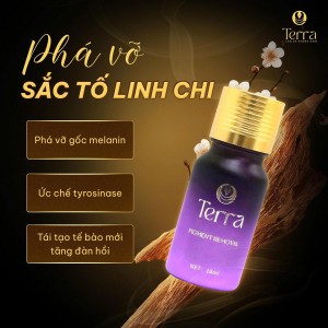 SERUM PHÁ VỠ SẮC TỐ LINH CHI TERRA